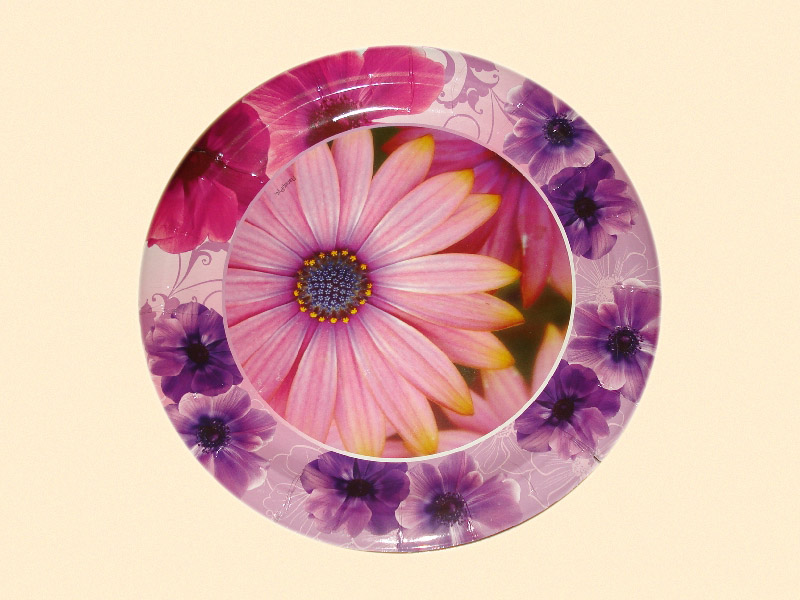 Тарелка картонная 230 мм Шёпот цветов